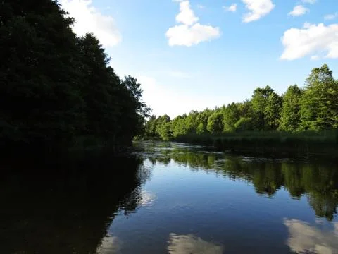 Cloudy Sky and Trees Forrest Reflection at Water Surface Stock Photos