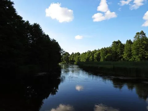 Cloudy Sky and Trees Forrest Reflection at Water Surface Stock Photos