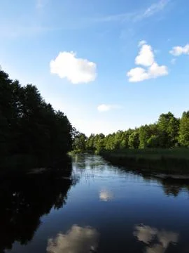 Cloudy Sky and Trees Forrest Reflection at Water Surface Stock Photos