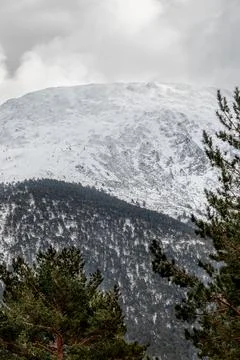 Cloudy sky backdrop to snowy mountain with trees in foreground Stock Photos