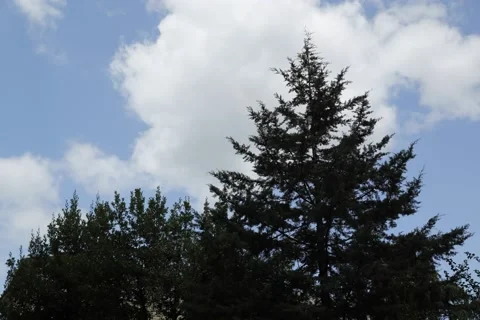 Cloudy sky background Stock Footage 135438076