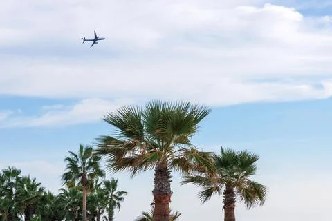 Cloudy sky with a blue opening above green palm trees, with a tiny airplane.. Stock Photos