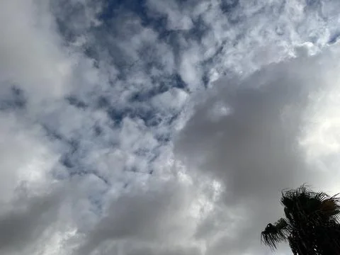 Cloudy sky with dramatic clouds and tree silhouette Stock Photos