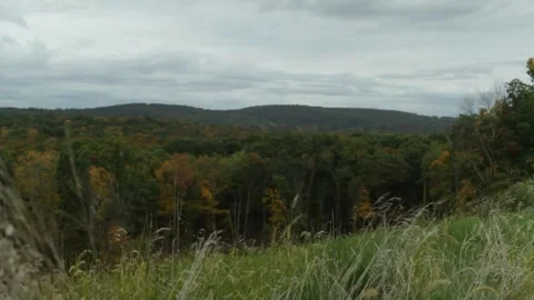 Cloudy Sky in Early Autumn Stock Footage 301574165