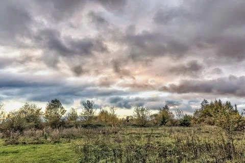 Cloudy sky in the evening light of a landscape with trees and bright grass Stock Photos