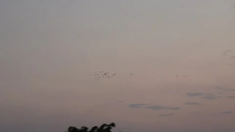 Cloudy sky with a faint horizon Stock-Footage 328530159
