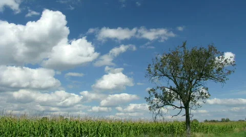 Cloudy sky 库存影片 154684