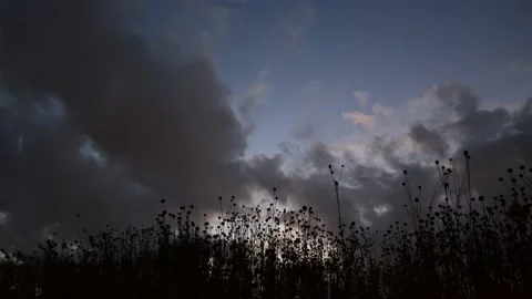 Cloudy Sky Stock Footage 159817013