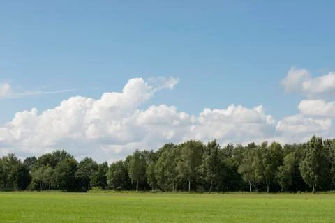 Cloudy sky with grass and forest edge. Stock Photos