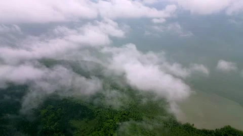 A cloudy sky with a green mangrove forest near sea. Stock-Footage 325790321