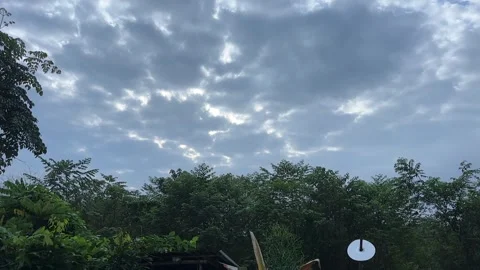 Cloudy sky with green trees no sound Stock Footage 325762597
