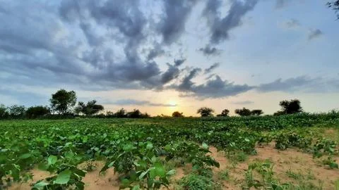 Cloudy sky in monsoon in fields of India Stock Photos