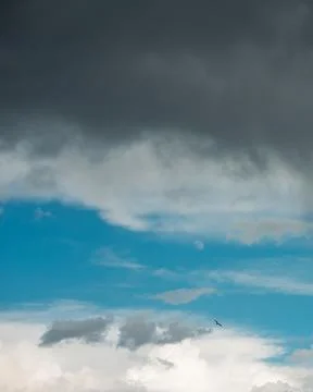 Cloudy sky with moon and flying bird over Seven Sisters coast Stock Photos