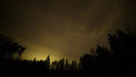 Cloudy sky at night. Spooky forest time lapse Stock Footage 297786300