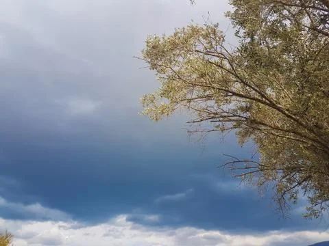 Cloudy sky with olive tree leaves on foreground Stock Photos