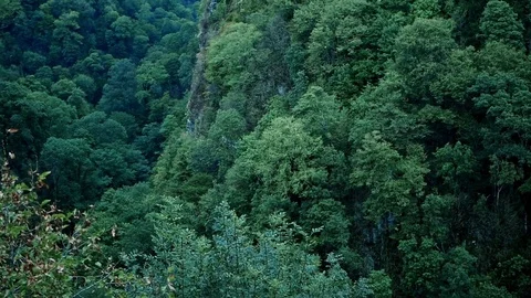 Cloudy sky over the canyon river Stock Footage 82881853