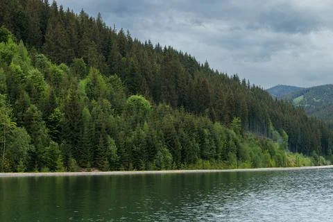 Cloudy sky over a dense evergreen forest bordering a calm lake Stock Photos
