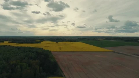 Cloudy sky over the field Stock Footage 130636494
