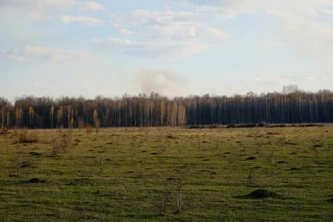 Cloudy sky over a field. A small forest in the distance. Stock Photos