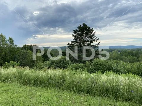 Cloudy Sky over a field of tall grass