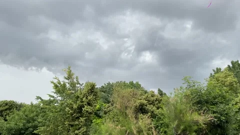 Cloudy sky over the forest Stock Footage 196935228