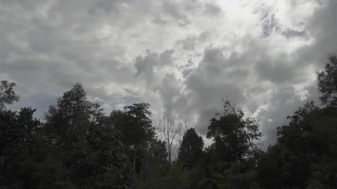 Cloudy Sky Over Forest Vídeos de archivo 305878599
