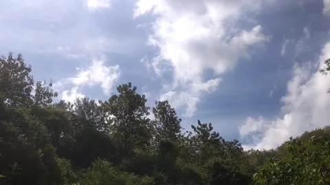 Cloudy Sky Over Forest Landscape Stock Footage 334103077