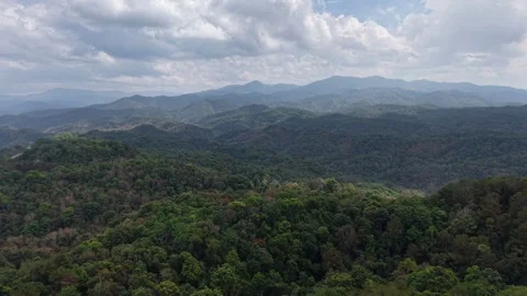 Cloudy Sky Over Forested Mountain Road Stock Footage 329817481