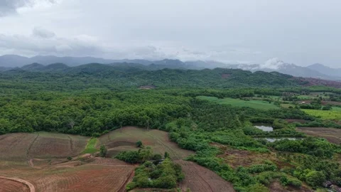 Cloudy Sky Over Fresh Green Hills – Drone Footage Stock Footage 310513349