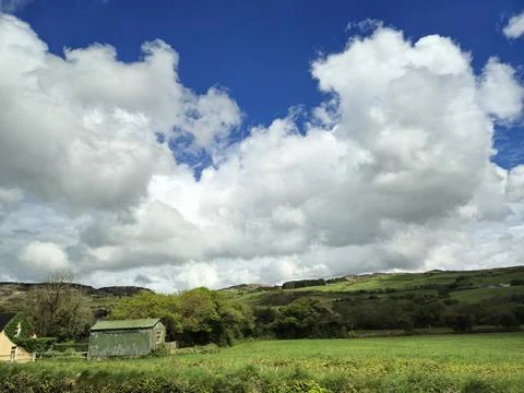 Cloudy Sky Over Grassland with Trees and Plants Foto stock