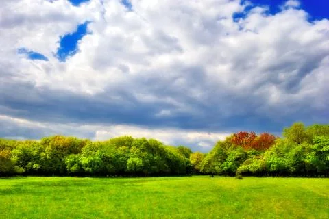 Cloudy sky over the green forest 스톡 사진