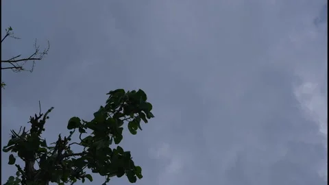 Cloudy Sky Over Greenery in Bhimtal Stock-Footage 334328381