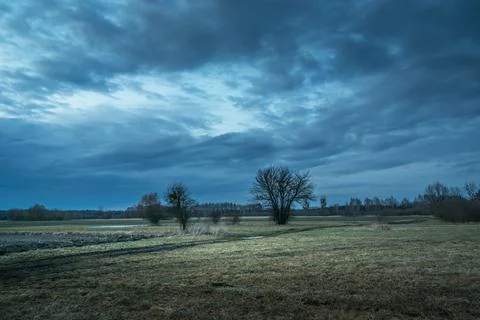 Cloudy sky over a meadow with trees and bushes, Nowiny, Poland Stock Photos