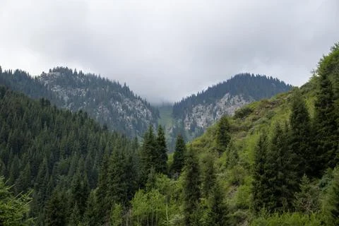 Cloudy sky over mountain with trees, creating a natural landscape Fotos de archivo