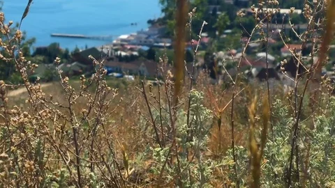 Cloudy sky over the mountains and the sea. Stock Footage 76607866