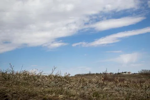 Cloudy Sky over Open Field Foto stock