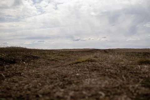 Cloudy Sky over Open Field Stock Photos