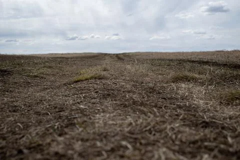 Cloudy Sky over Open Field Stock Photos