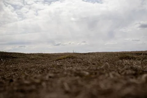 Cloudy Sky over Open Field Stock Photos
