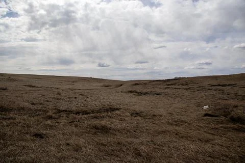 Cloudy Sky over Open Field Stock Photos