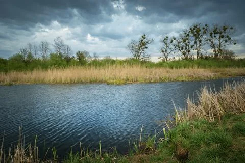 Cloudy sky over a small pond Stock Photos