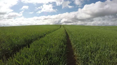 Cloudy sky over wheat field, time lapse 4k Stock Footage 68073595