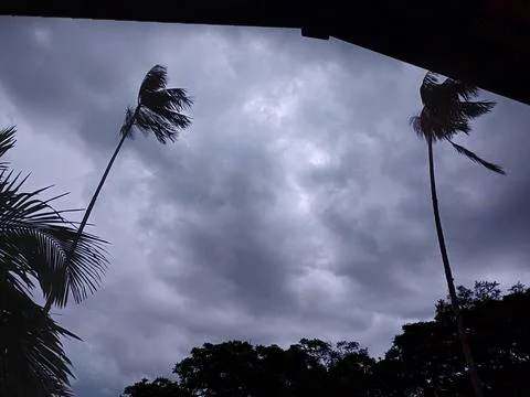Cloudy Sky with Palm Trees Stock Photos