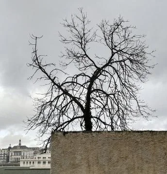 Cloudy sky 写真素材