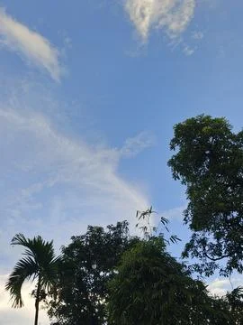 Cloudy Sky Photograph Sky Background With Tree Frame Natural Sky View Outdo Stock Photos