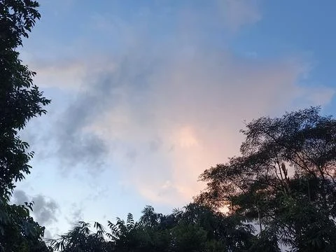 Cloudy Sky Photograph Sky Background With Tree Frame Natural Sky View Outdo Stock Photos