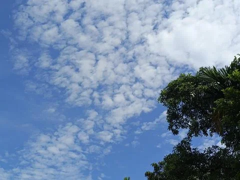 Cloudy Sky Photograph Sky Background With Tree Frame Natural Sky View Outdo Stock Photos