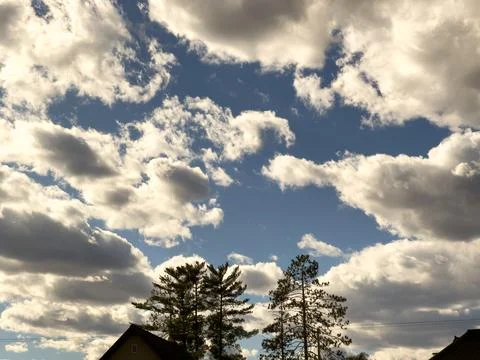 A cloudy sky with pine trees and roofs Stock Photos