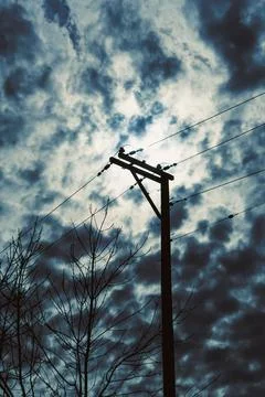 Cloudy sky with power lines and birds perched on a pole during the late aft.. Stock Photos