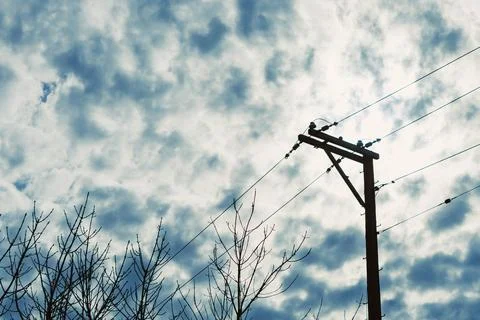 Cloudy sky with power pole and bare branches during the day over an outdoor.. Stock Photos